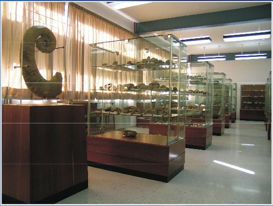 Aula Museo de Paleontología 